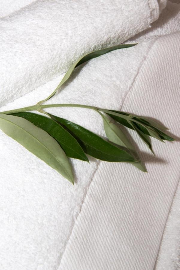 Olea Escape Villa In An Olive Estate ギシオ エクステリア 写真